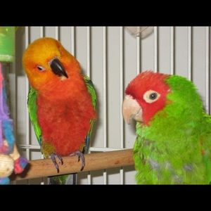 Meet your Posher, Neela r